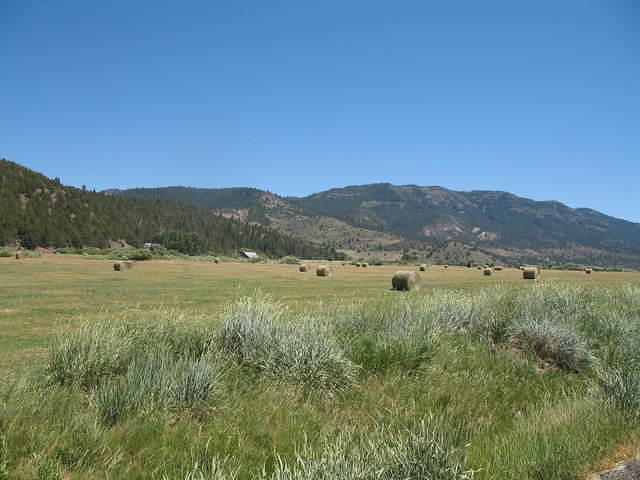 IMG_1362.JPG