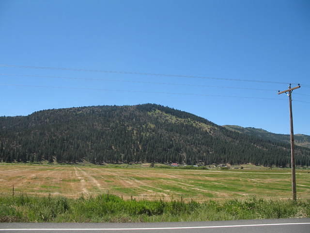 IMG_1364.JPG