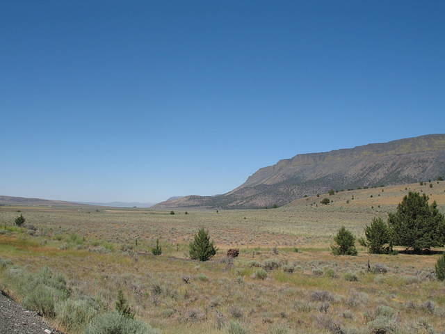 IMG_1366.JPG