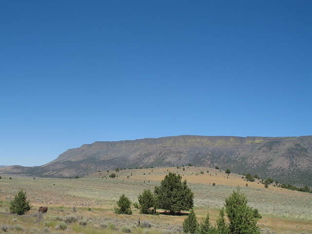 IMG_1367.JPG