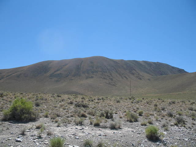 IMG_1421.JPG