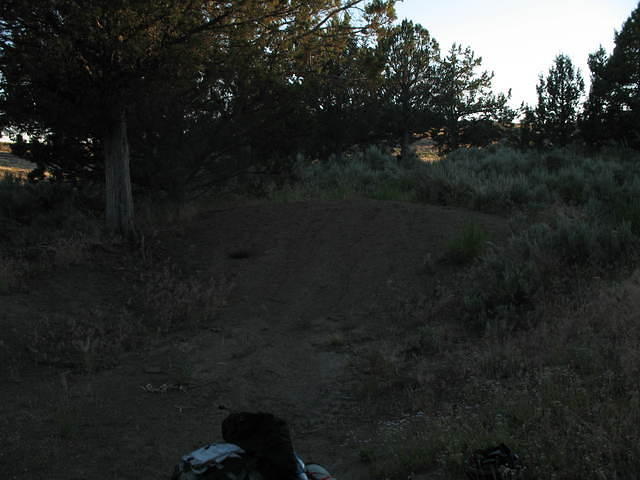 IMG_1452.JPG