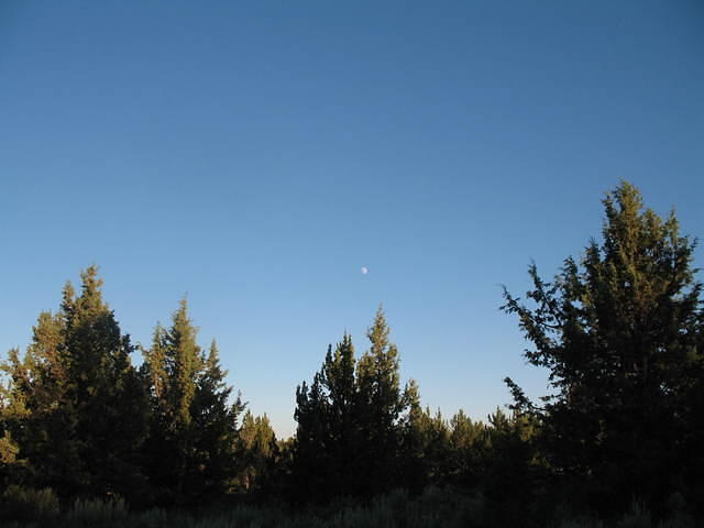 IMG_1453.JPG