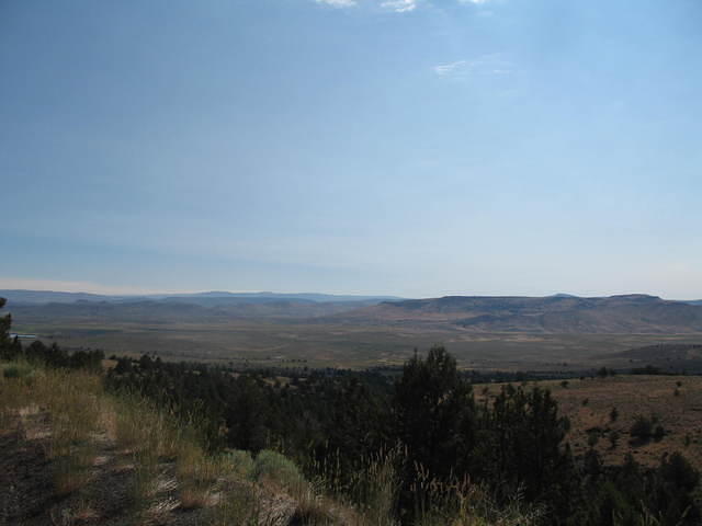 IMG_1462.JPG