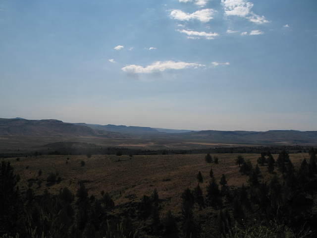 IMG_1463.JPG