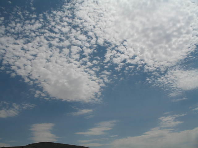 IMG_1472.JPG