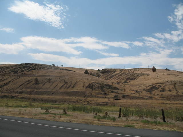 IMG_1476.JPG