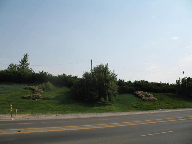 IMG_1508.JPG