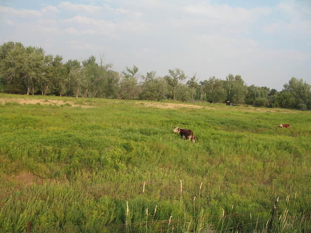 IMG_1534.JPG