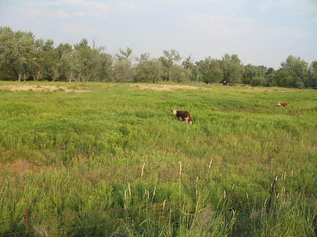 IMG_1535.JPG