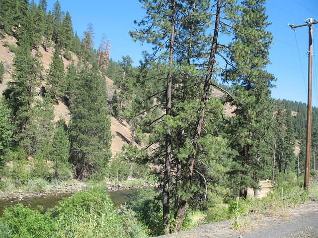 IMG_1549.JPG