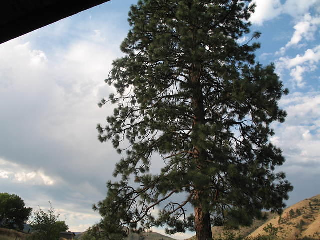 IMG_1578.JPG