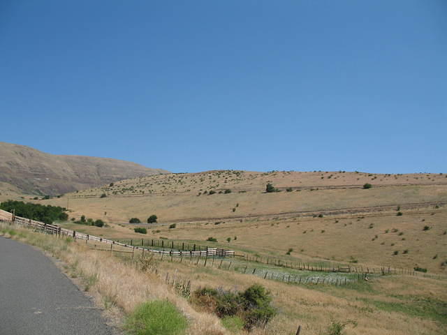 IMG_1587.JPG