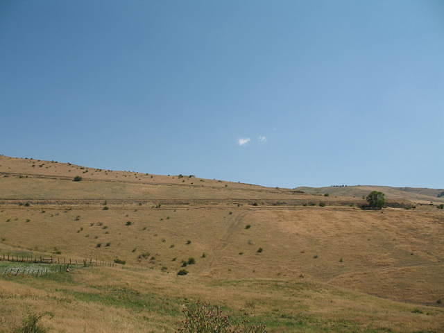 IMG_1588.JPG