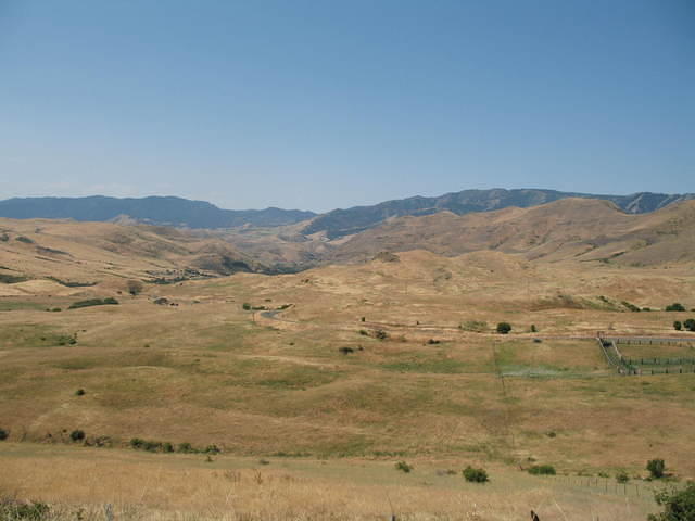 IMG_1592.JPG