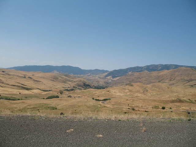 IMG_1593.JPG