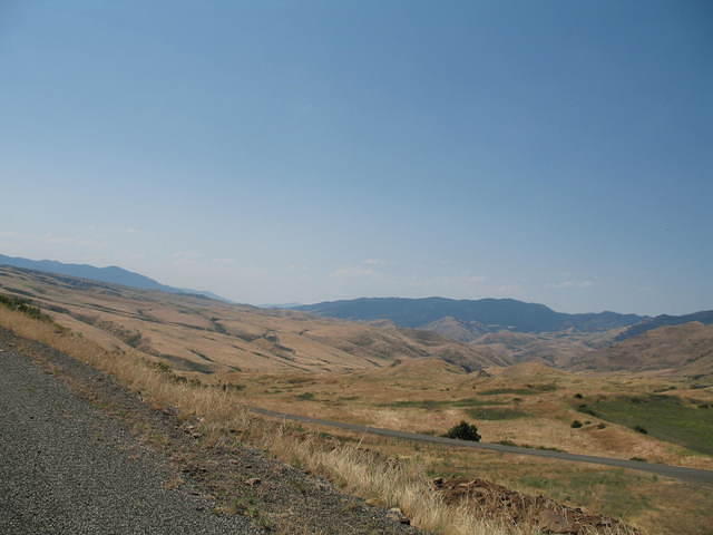 IMG_1595.JPG