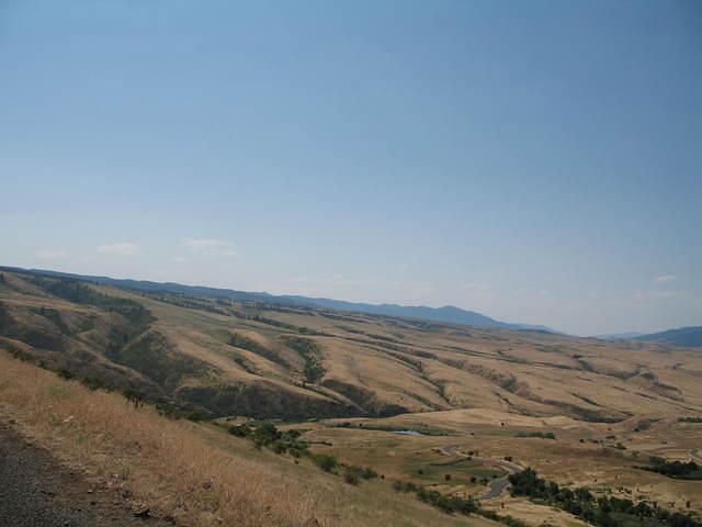 IMG_1598.JPG