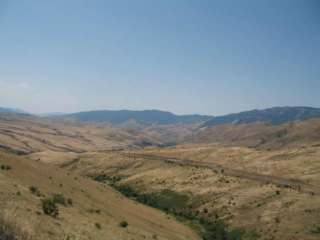 IMG_1601.JPG