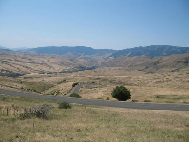 IMG_1604.JPG