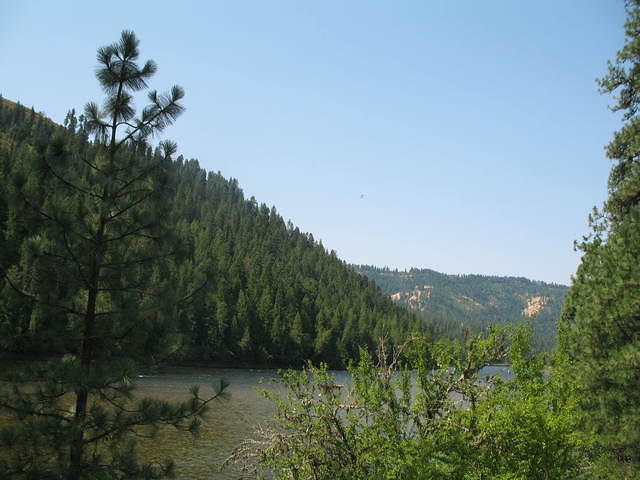 IMG_1628.JPG