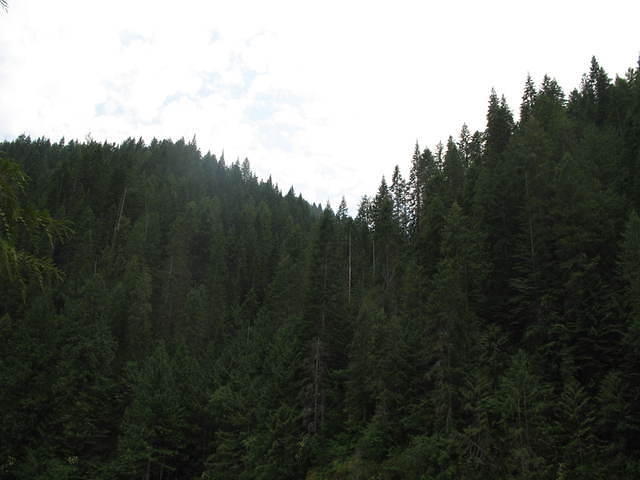 IMG_1639.JPG