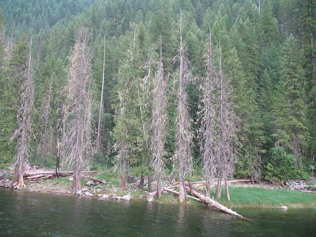 IMG_1647.JPG