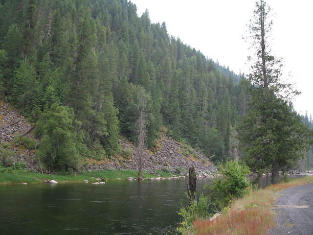 IMG_1648.JPG