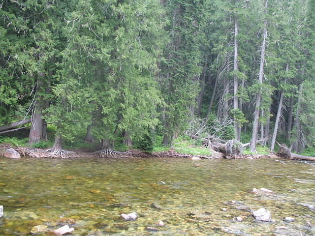 IMG_1664.JPG