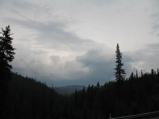 IMG_1668.JPG