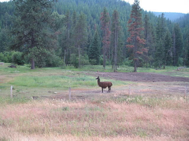 IMG_1683.JPG