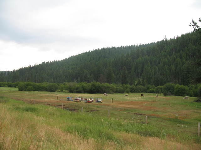 IMG_1684.JPG