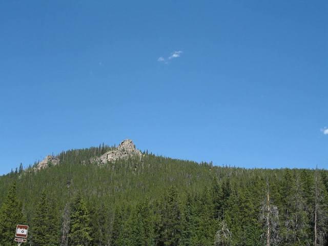 IMG_2235.JPG