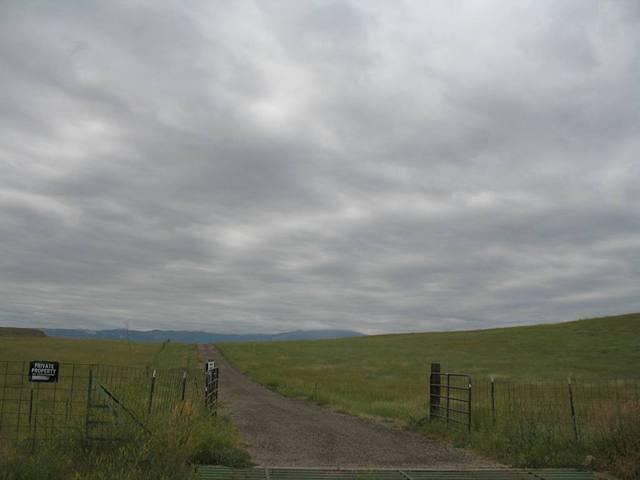 IMG_2269.JPG