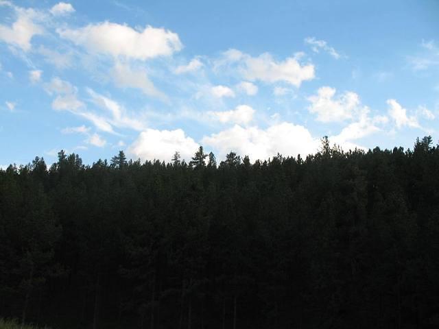 IMG_2386.JPG