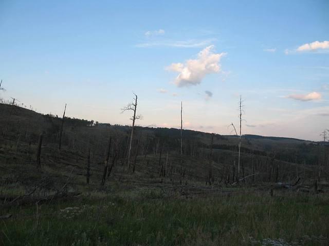 IMG_2389.JPG