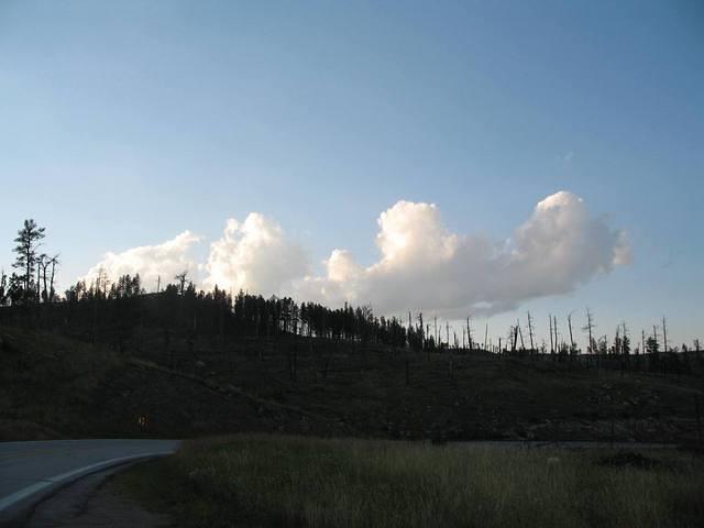 IMG_2392.JPG