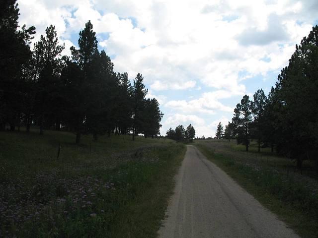 IMG_2419.JPG