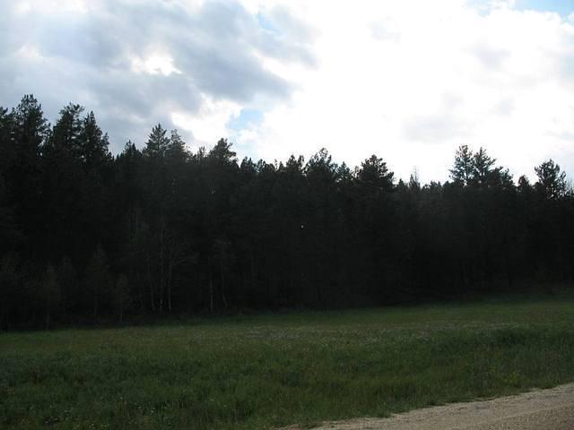 IMG_2424.JPG