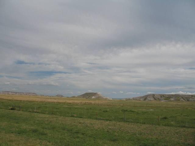 IMG_2441.JPG