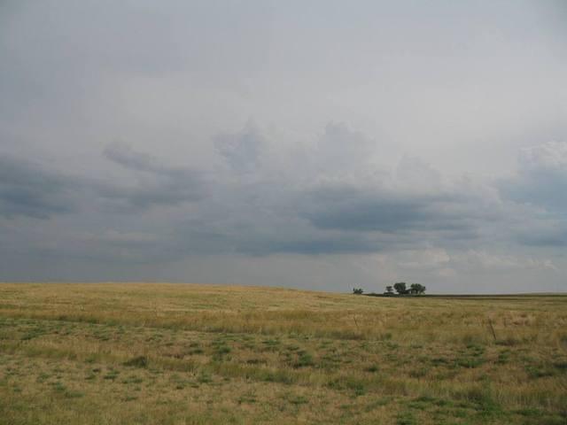 IMG_2521.JPG