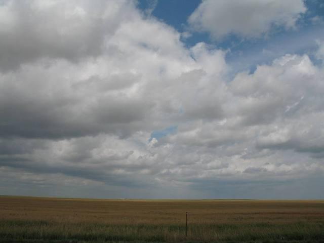 IMG_2554.JPG