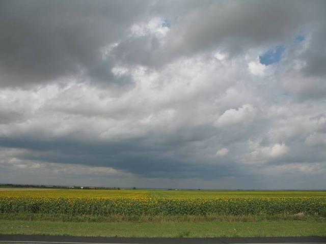 IMG_2559.JPG