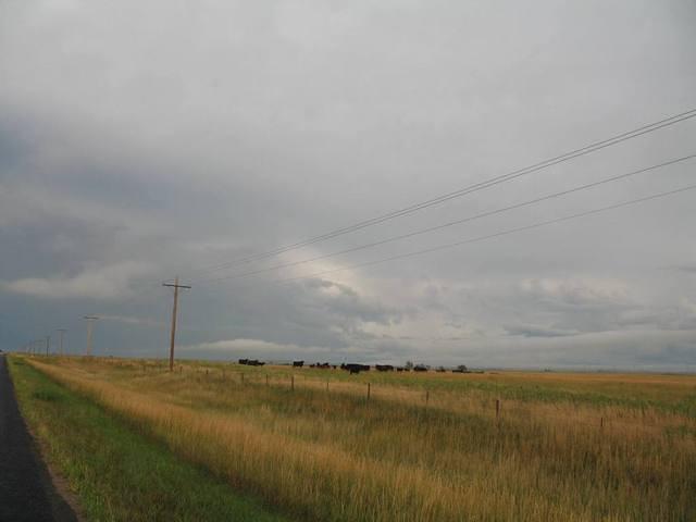 IMG_2583.JPG