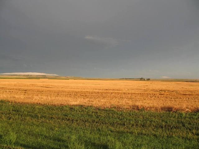 IMG_2589.JPG