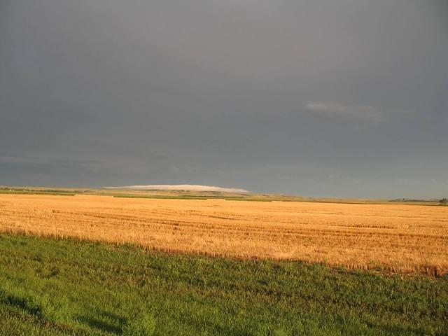 IMG_2590.JPG
