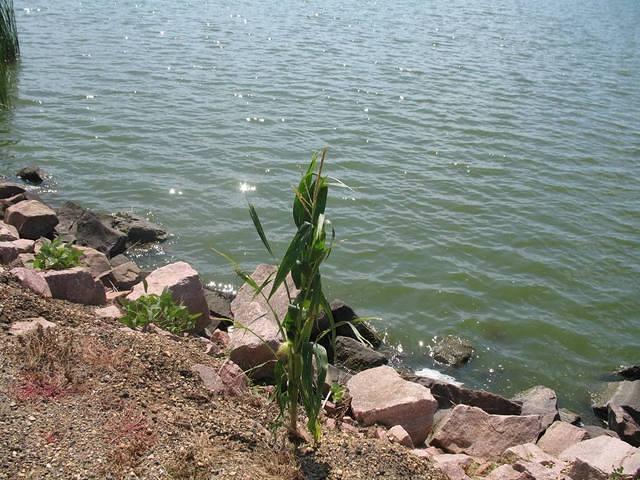 IMG_2623.JPG