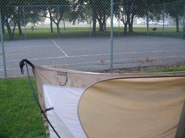 IMG_2642.JPG