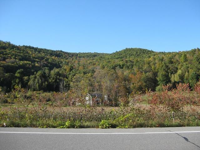img_0115.jpg