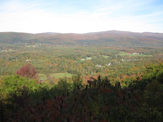 img_0123.jpg